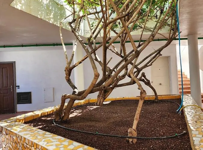 Lejlighed Atlantic Mirage Island Village Costa Adeje (Tenerife)